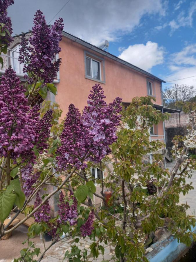 Byurakan Guesthouse & Cottage Exterior foto
